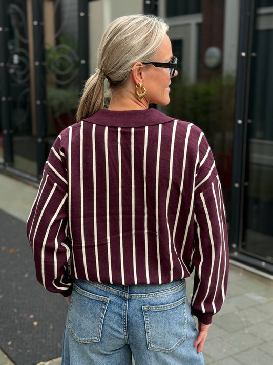 Knitted polo sweater LA bordeaux