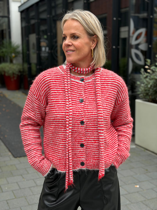 Cardigan Stripe rood grijs