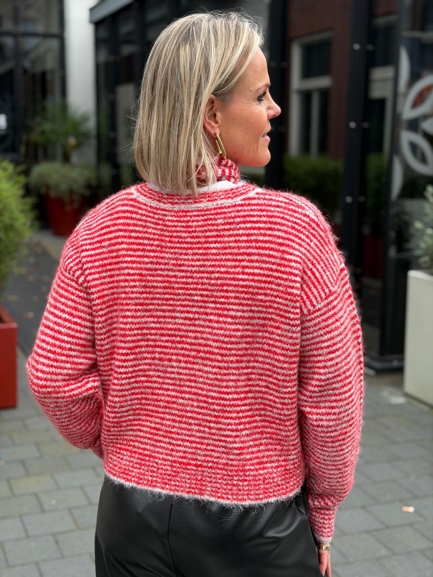 Cardigan Stripe rood grijs