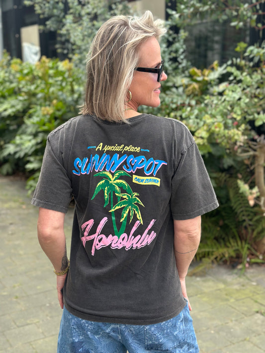 T-shirt Honolulu grijs