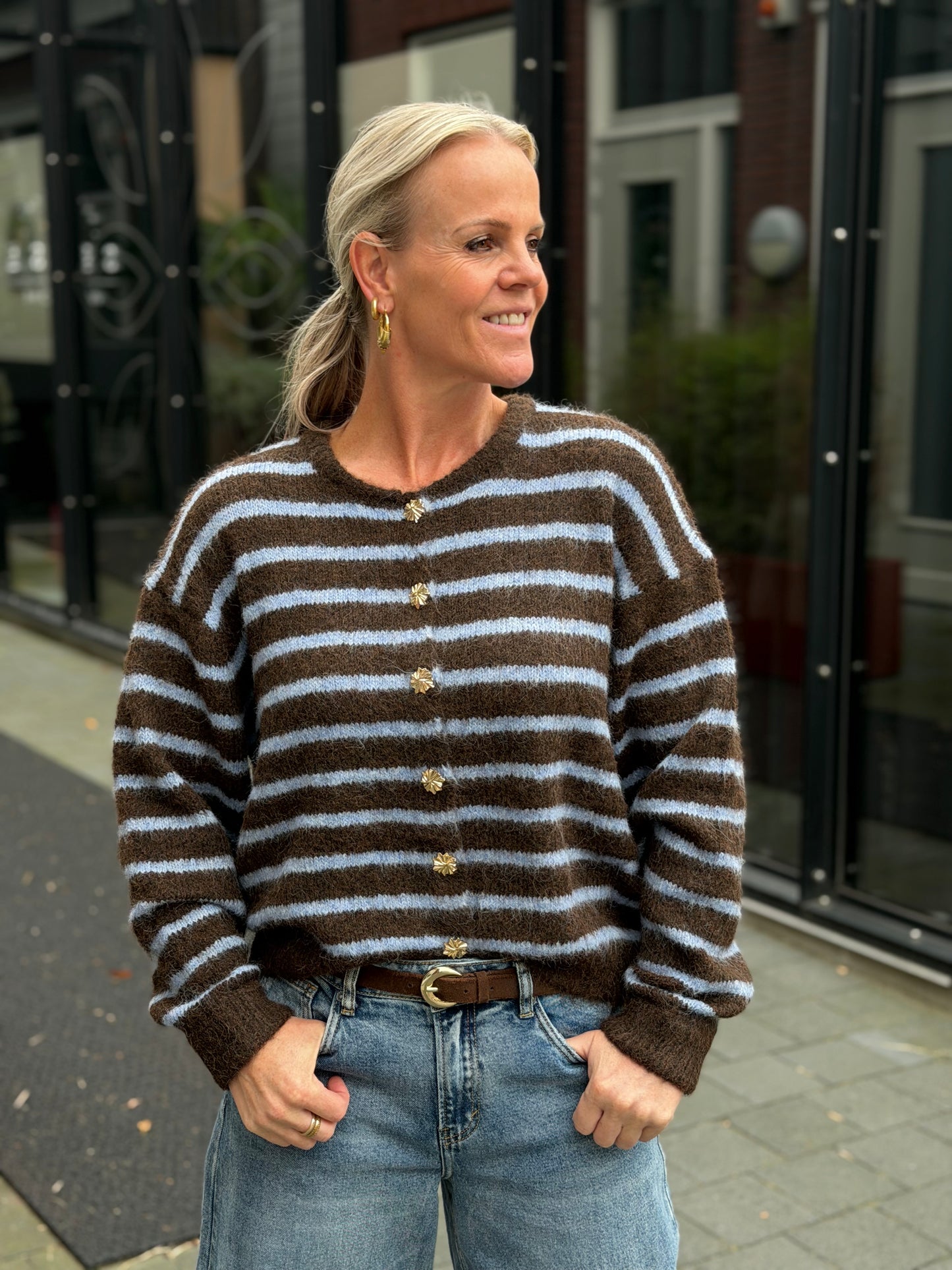 Cardigan Stripe brown blue